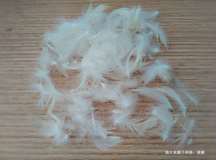 進(jìn)口馬來西亞水洗鴨毛報(bào)關(guān)