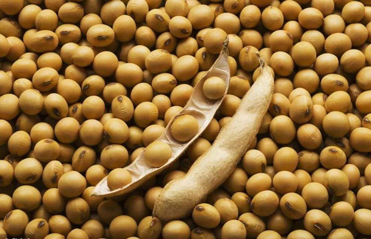 大豆進口報關報檢流程_一般貿易進口大豆-高效通關