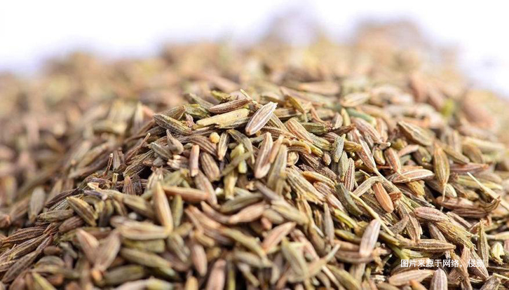 埃及枯茗子孜然進口報關資料