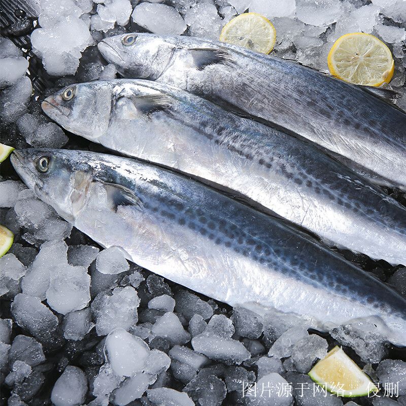越南進(jìn)口冰鮮魚(yú)清關(guān)流程