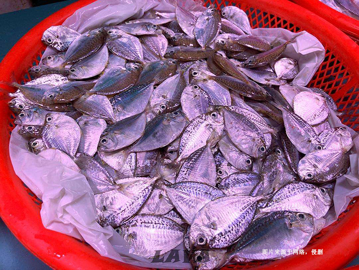 佛山南海冷凍葉子魚進口報關(guān)流程