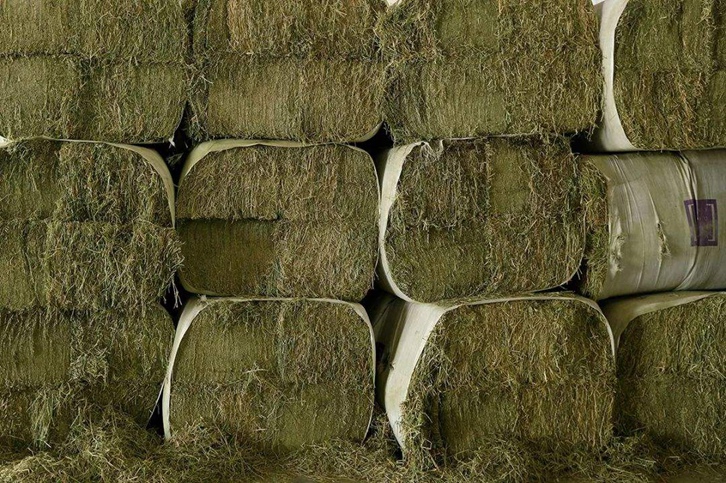 苜蓿草進口清關流程