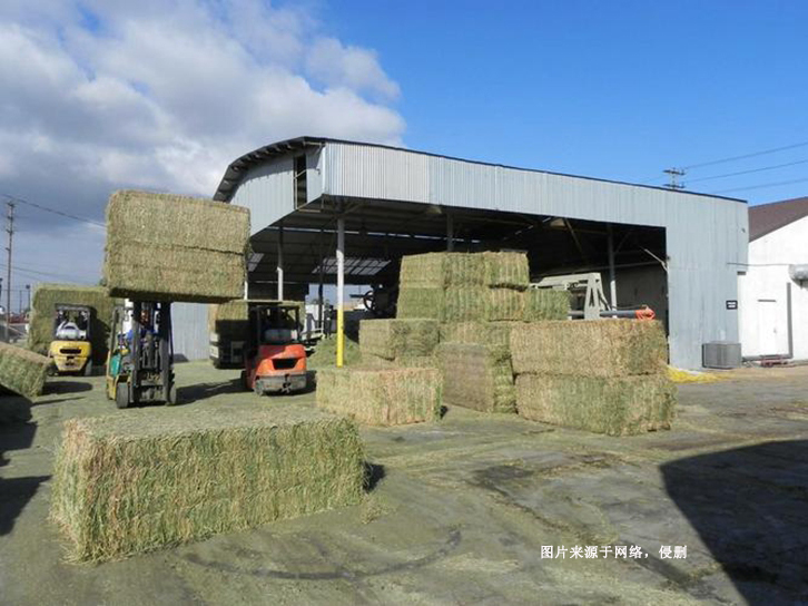 南非苜蓿草進口報關(guān)費用