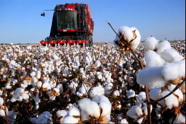 棉花進口報關流程