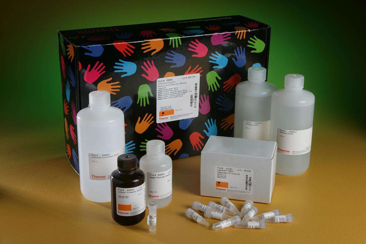 廣州進口生物試劑清關