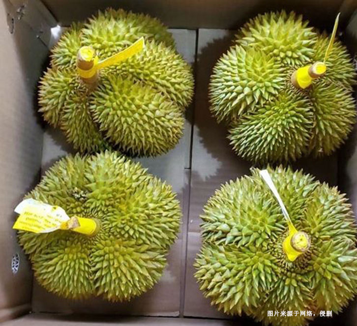 深圳機場進口泰國榴蓮報關資料