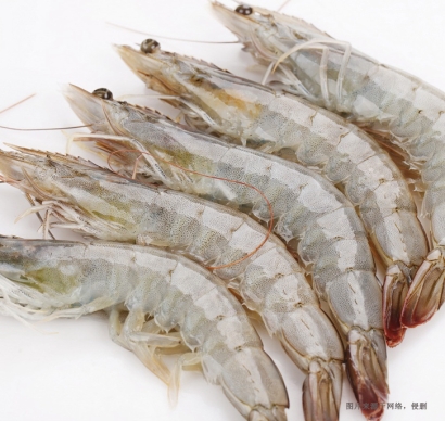 天津進口厄瓜多爾南美白蝦清關資料冷凍水產品案例