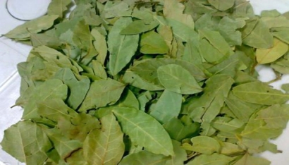 香葉進(jìn)口報(bào)關(guān)注意事項(xiàng)有哪些？