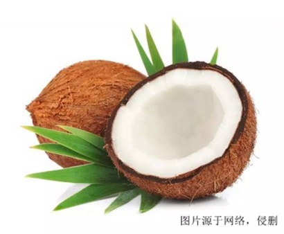 進口椰子怎么清關(guān)？斯里蘭卡干椰子進口報關(guān)流程