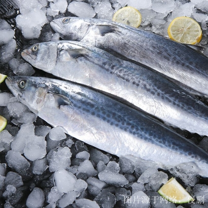 越南進口冰鮮魚清關流程_胡志明港海運報關費用