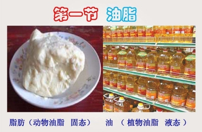 動物油脂進(jìn)口報關(guān)代理難點以及所需資料