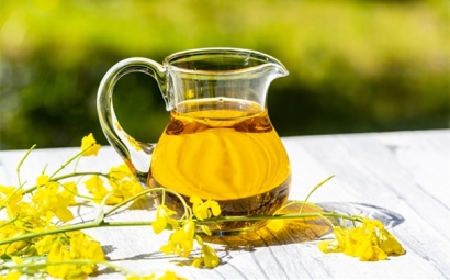 進口菜籽油報關的詳細流程，get！