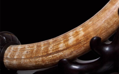 猛犸象牙進(jìn)口報(bào)關(guān)流程以及稅率是怎樣的？