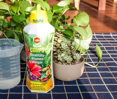 氨基酸營養液進口報關資料_植物營養劑進口申報要素