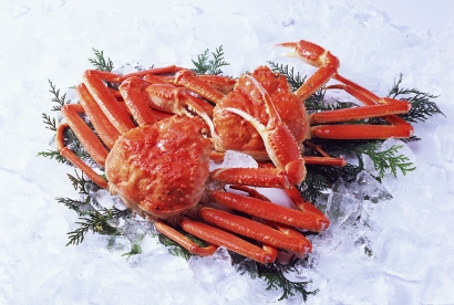 帝王蟹進(jìn)口清關(guān)代理服務(wù)