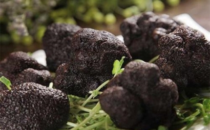 一般貿(mào)易進(jìn)口松露清關(guān)代理的流程