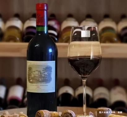 上海港食品酒水進口報關清關服務的重要性、流程及細節