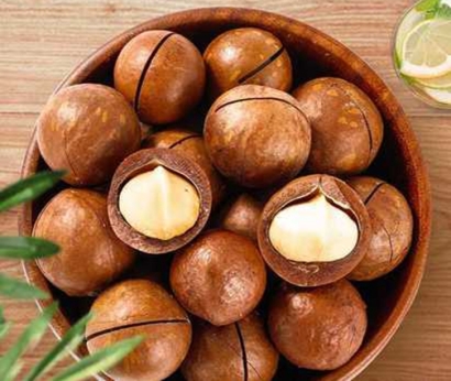 澳大利亞夏威夷果進口報關(guān)手續(xù)-19年堅果食品報關(guān)行