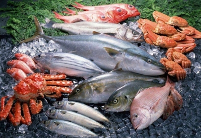 清關公司：進口冷凍海鮮報關需要什么手續資料