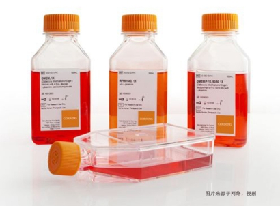 德國細胞培養(yǎng)試劑進口報關(guān)資料_上海空運生物試劑