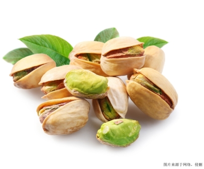 美國開心果，廣州食品進口報關(guān)行