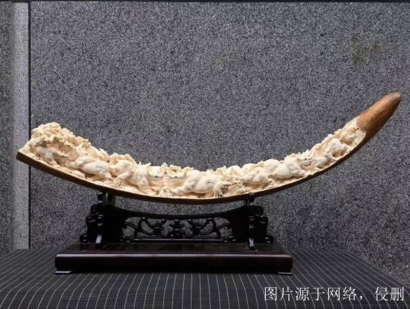 西伯利亞猛犸象牙進口報關(guān)流程？猛犸象牙清關(guān)資料