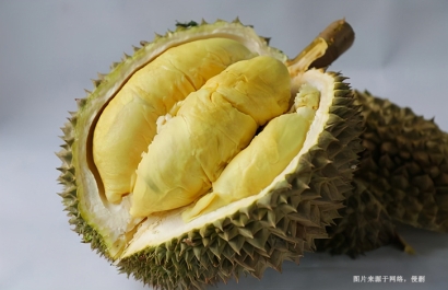 桂林進(jìn)口泰國榴蓮報(bào)關(guān)流程_泰國榴蓮進(jìn)口空運(yùn)費(fèi)用