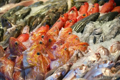 水產(chǎn)品進(jìn)口清關(guān)報(bào)關(guān)報(bào)費(fèi)用流程_加拿大金線魚報(bào)關(guān)