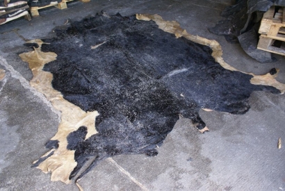 美國牛皮進(jìn)口報(bào)關(guān)費(fèi)用_牛皮皮革進(jìn)口清關(guān)注意事項(xiàng)