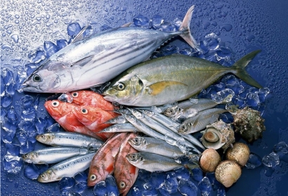 美國冷凍魚水產品進口清關關稅_青島港水產品報關