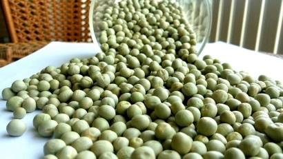 比利時飼用豌豆進口報關資料這幾樣-飼料糧報關行