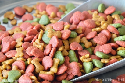 進(jìn)口寵物食品報(bào)關(guān)_解讀全面的流程與要點(diǎn)