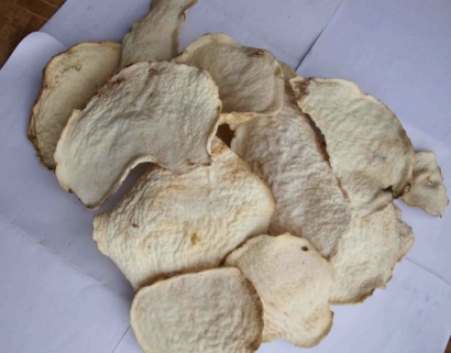 印度尼西亞魔芋干進(jìn)口報關(guān)公司哪家好-18年經(jīng)驗