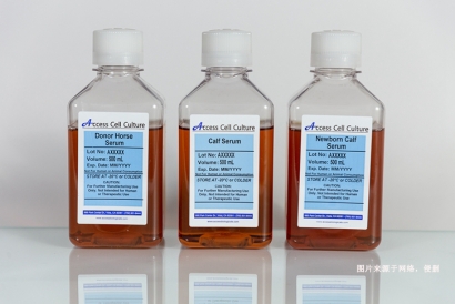 澳大利亞新生牛血清進(jìn)口報(bào)關(guān)資料到深圳生物制品案例