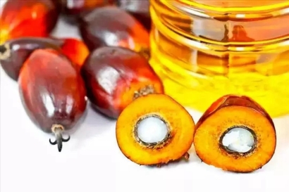 進(jìn)口印尼棕櫚油報(bào)關(guān)代理_廣州棕櫚油進(jìn)口關(guān)稅