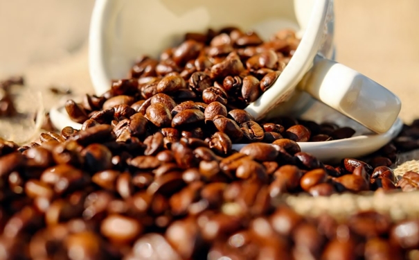 加拿大咖啡豆進(jìn)口報(bào)關(guān)的流程以及資料是怎樣的